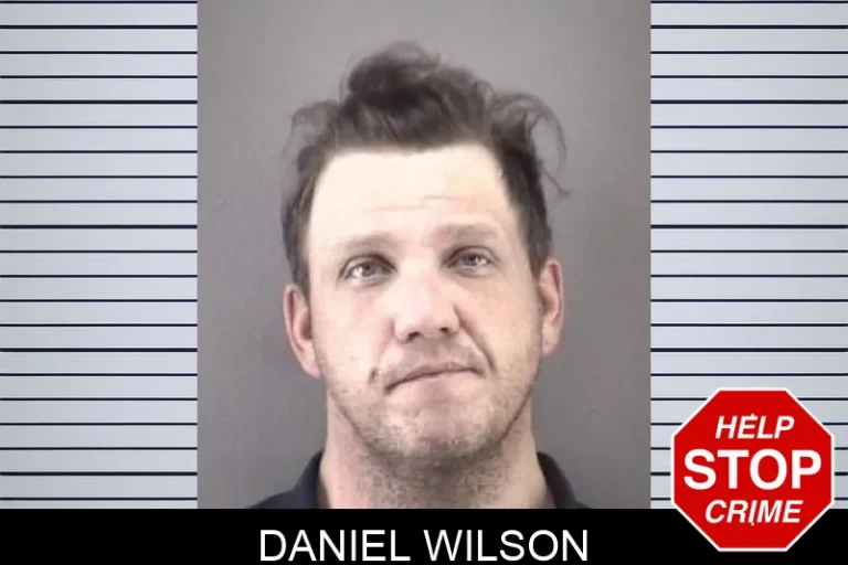 Daniel Wilson