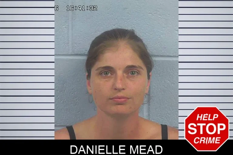 Danielle Mead