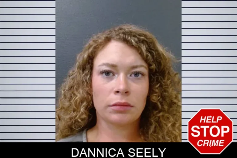 Dannica Seely