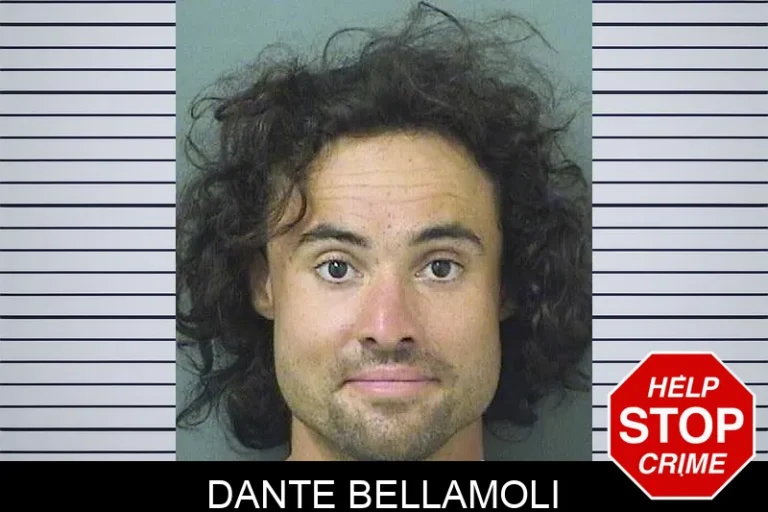 Dante Bellamoli