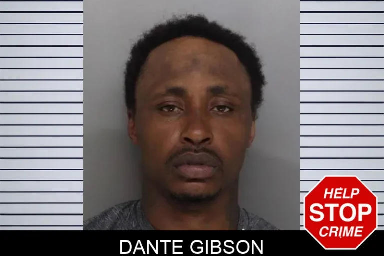 Dante Gibson