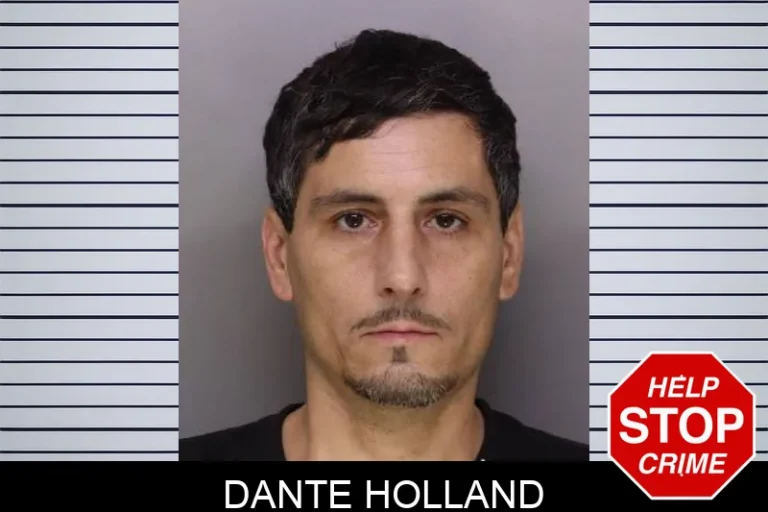 Dante Holland