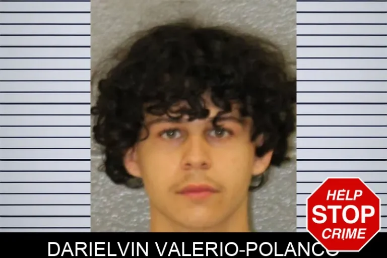 Darielvin Valerio-Polanco