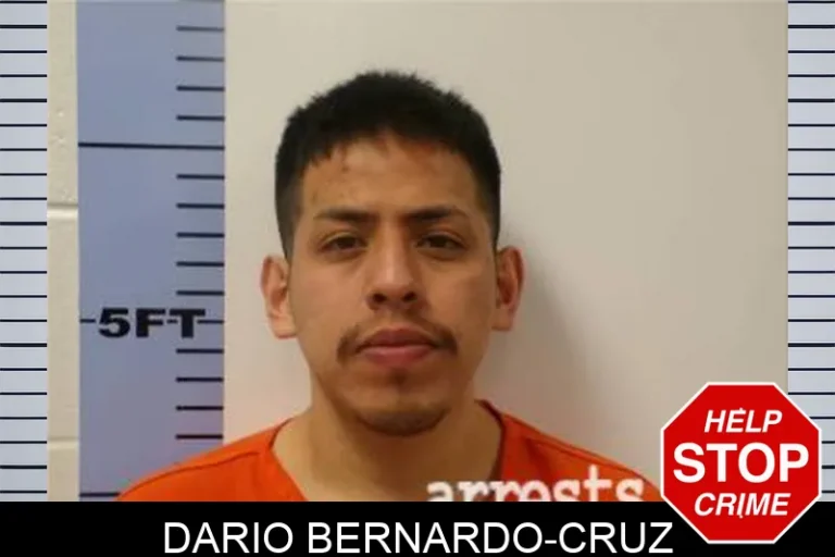 Dario Bernardo-Cruz