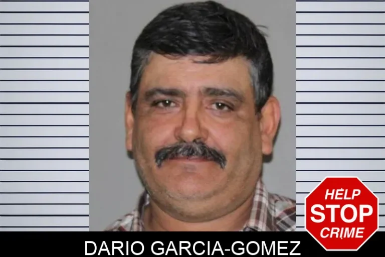 Dario Garcia-Gomez