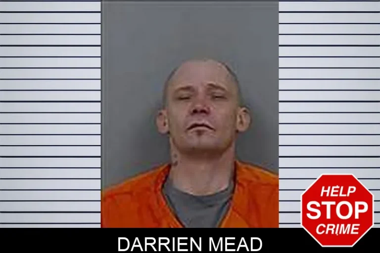 Darrien Mead