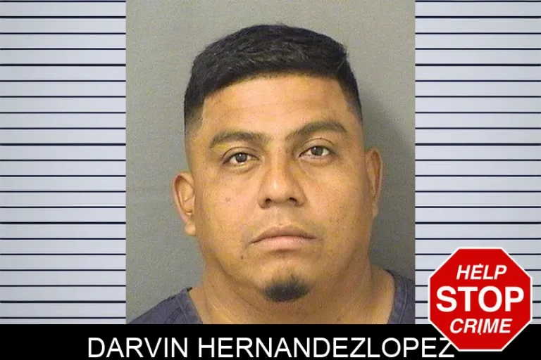Darvin Hernandezlopez