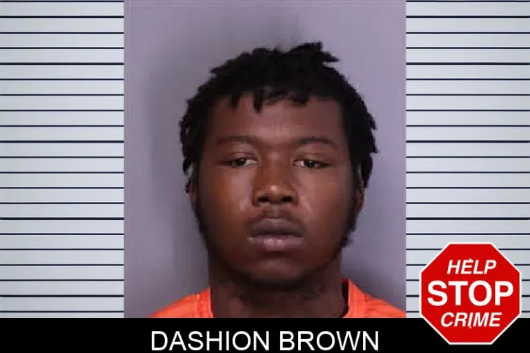 Dashion Brown