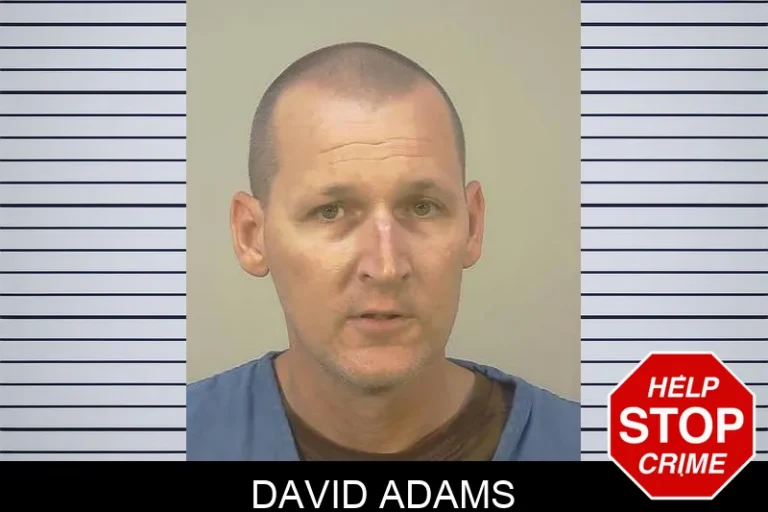 David Adams