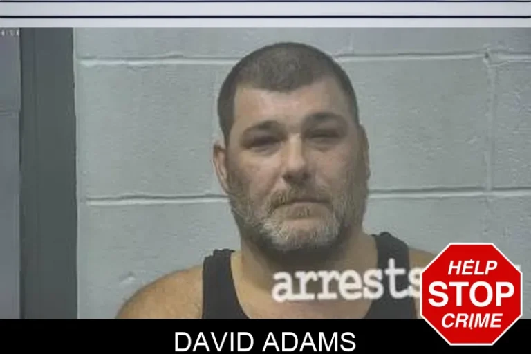 David Adams