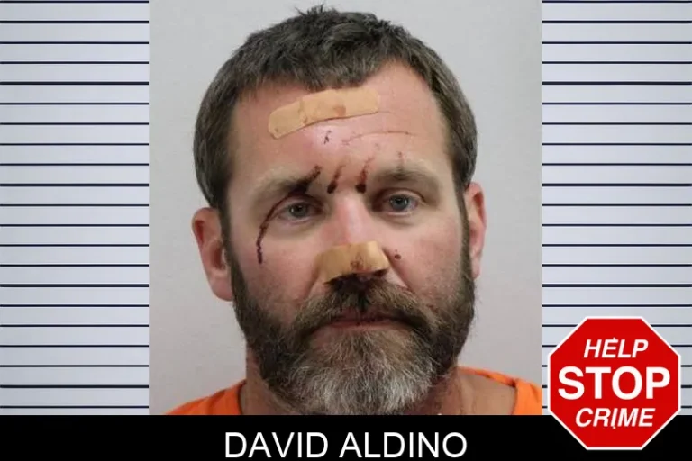 David Aldino