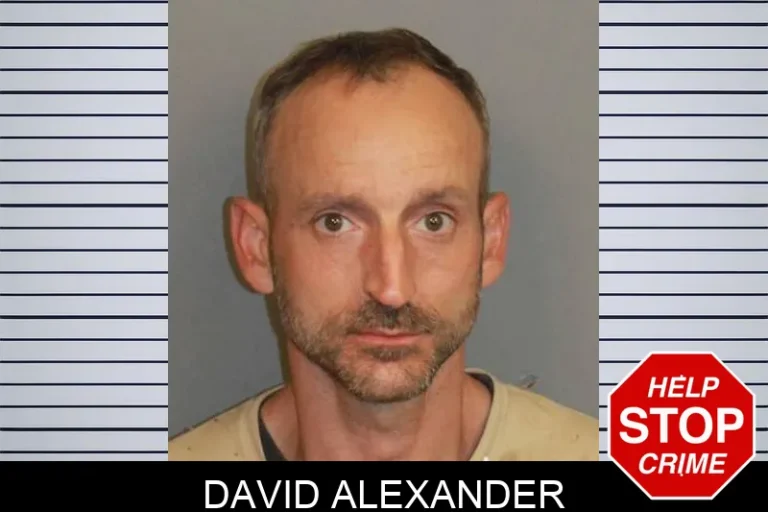 David Alexander