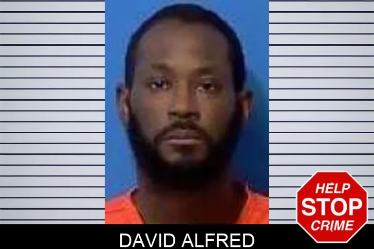 David Alfred