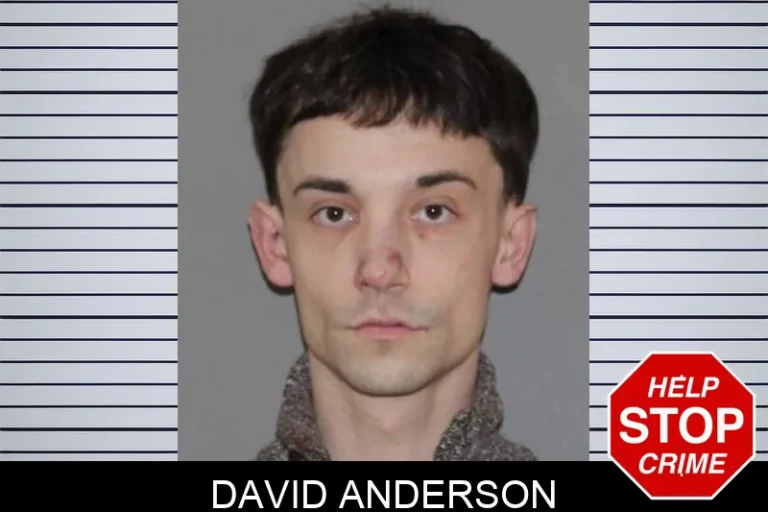 David Anderson