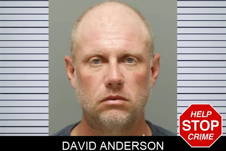 David Anderson