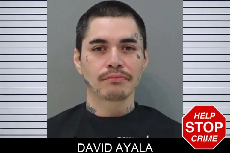 David Ayala
