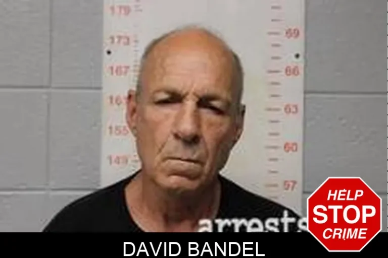 David Bandel