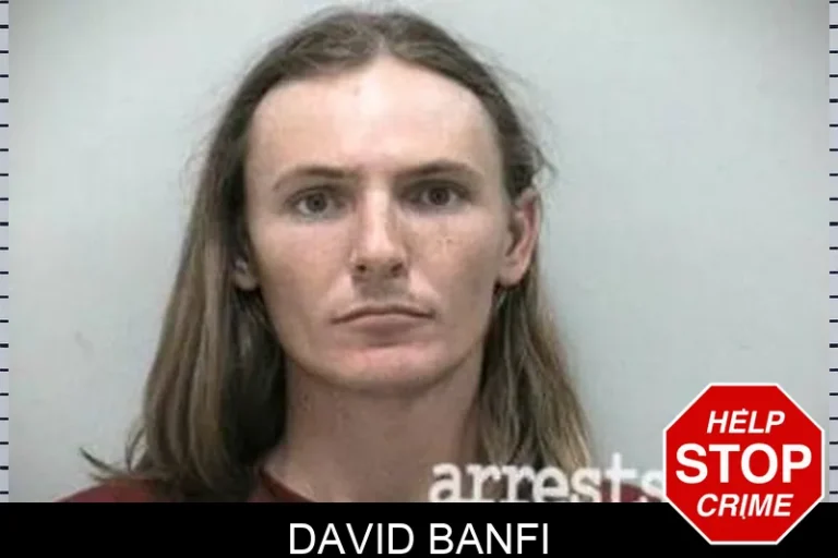 David Banfi