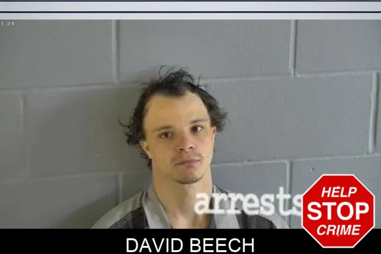 David Beech