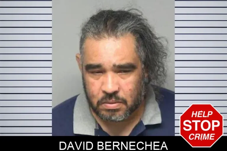 David Bernechea