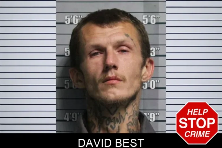 David Best