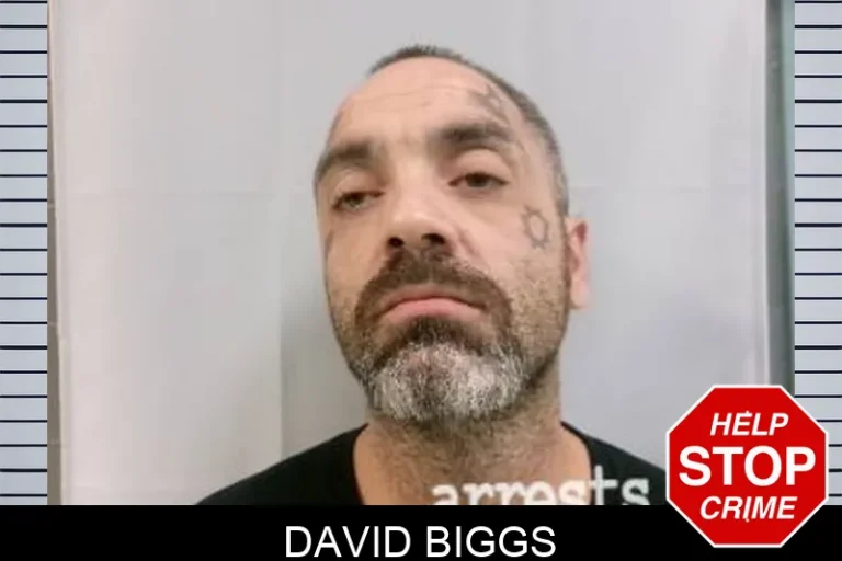 David Biggs