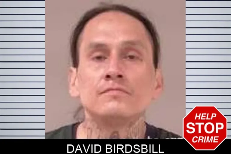 David Birdsbill