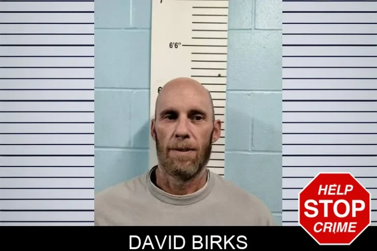 David Birks