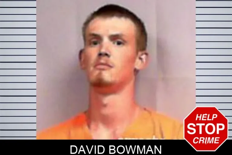 David Bowman