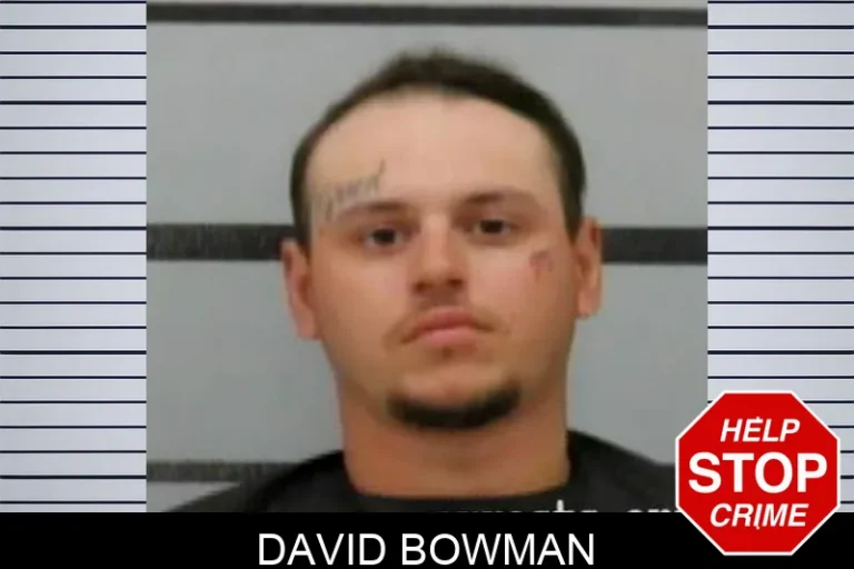 David Bowman