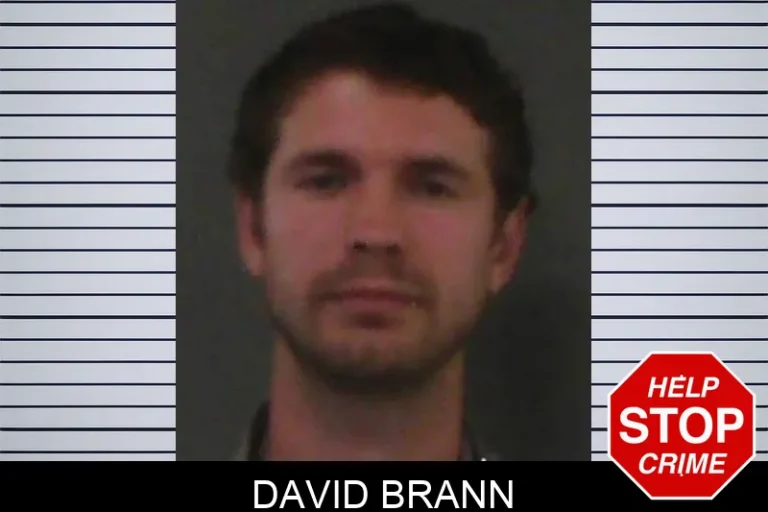 David Brann