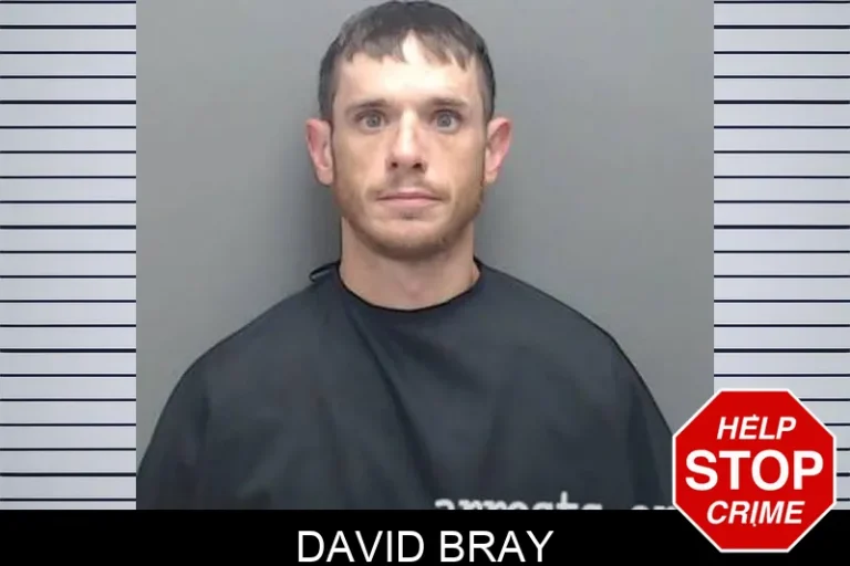 David Bray
