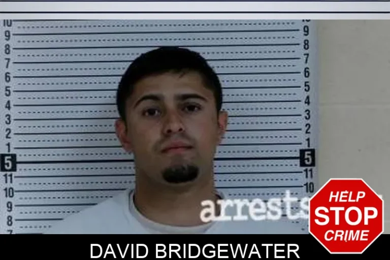 David Bridgewater
