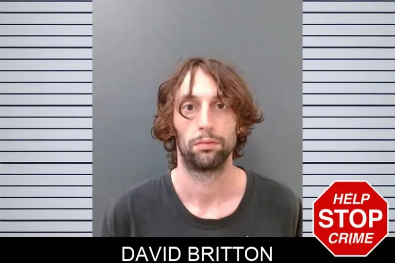 David Britton
