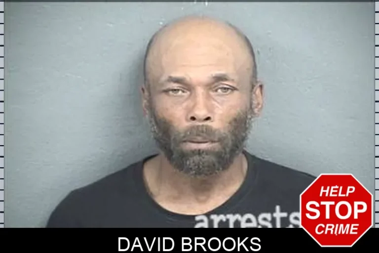 David Brooks