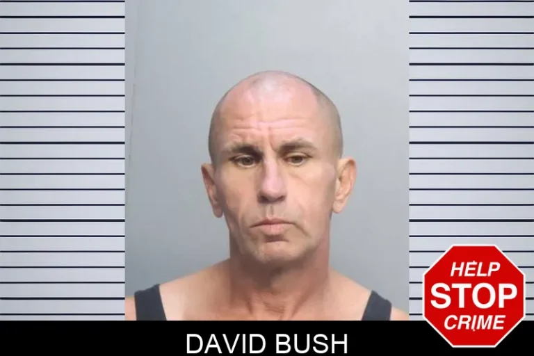 David BuSh