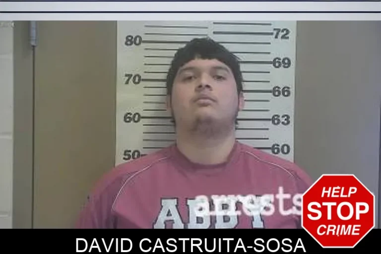 David Castruita-Sosa