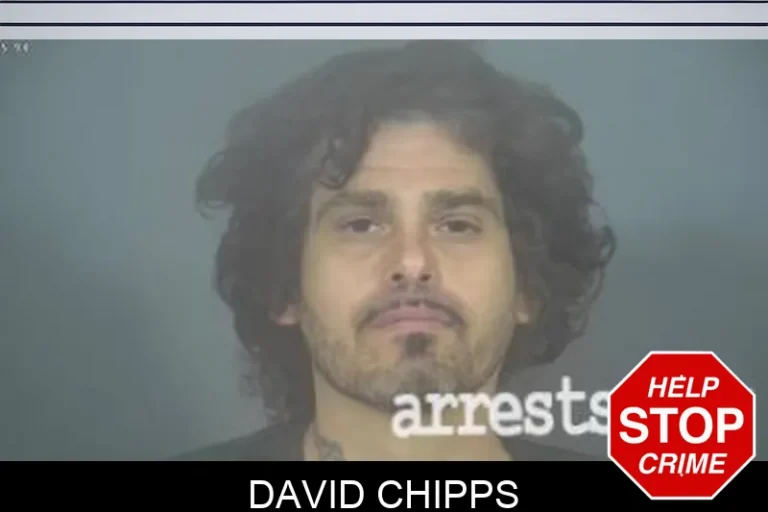 David Chipps
