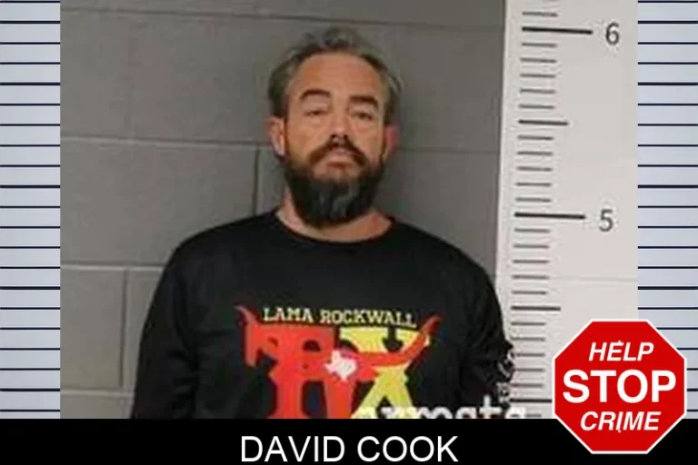 David Cook