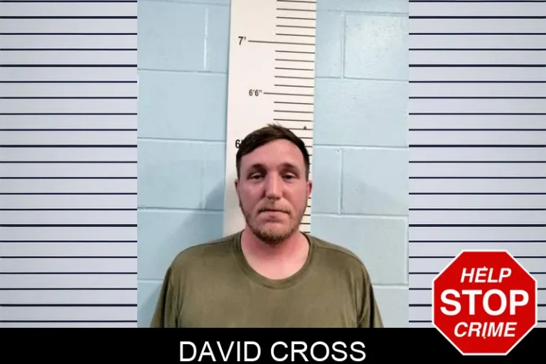 David Cross