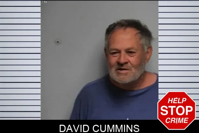 David Cummins