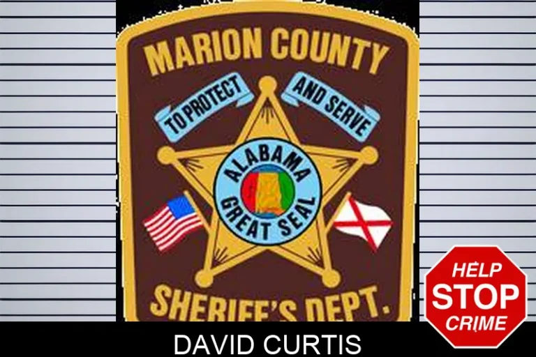 David Curtis