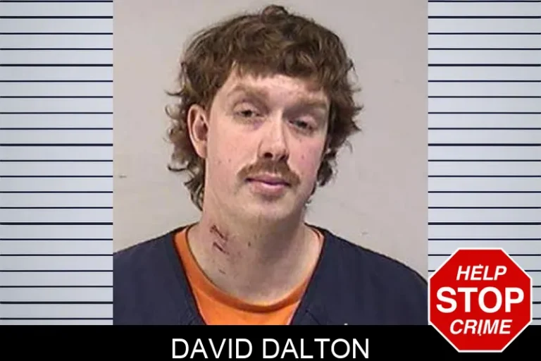 David Dalton
