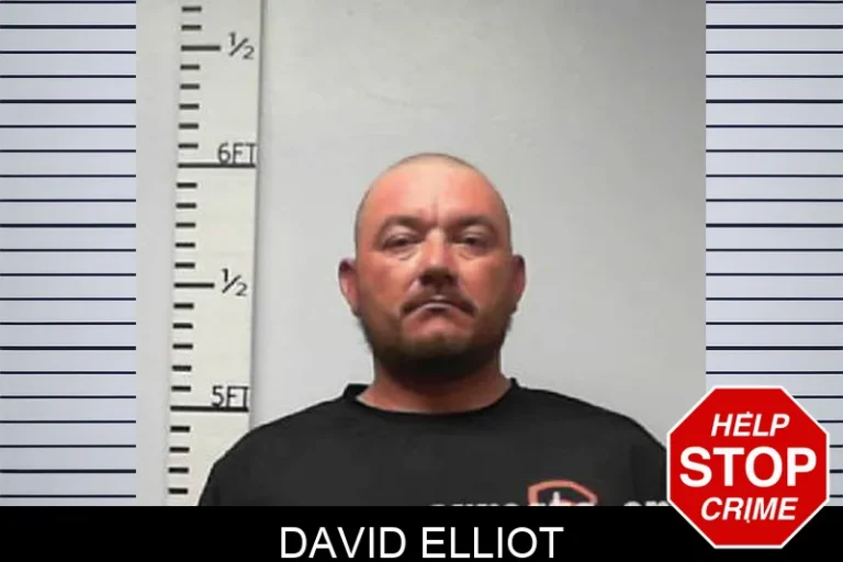 David Elliot