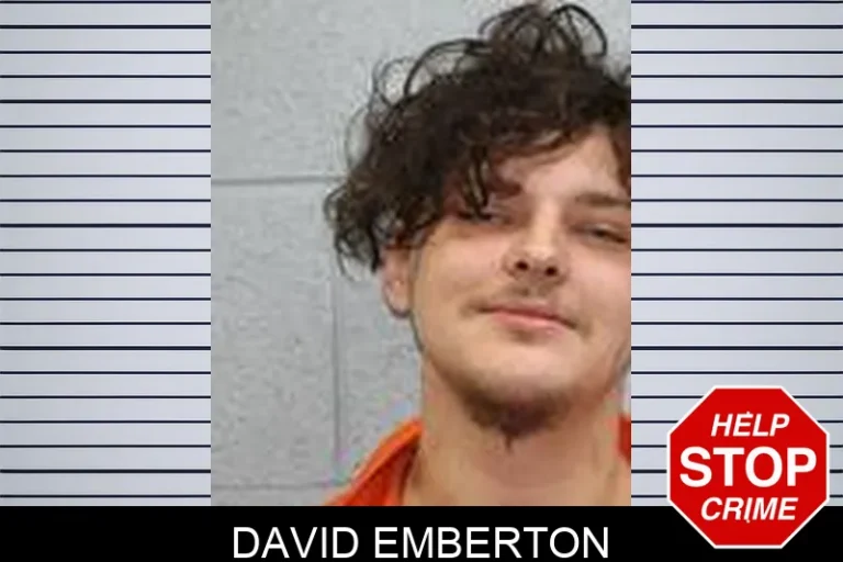 David Emberton