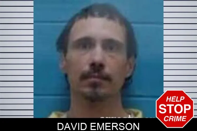 David Emerson