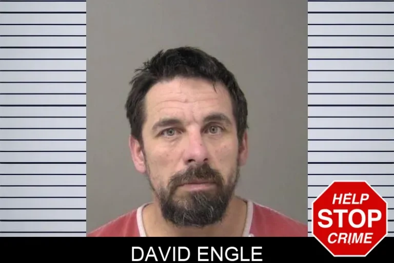 David Engle