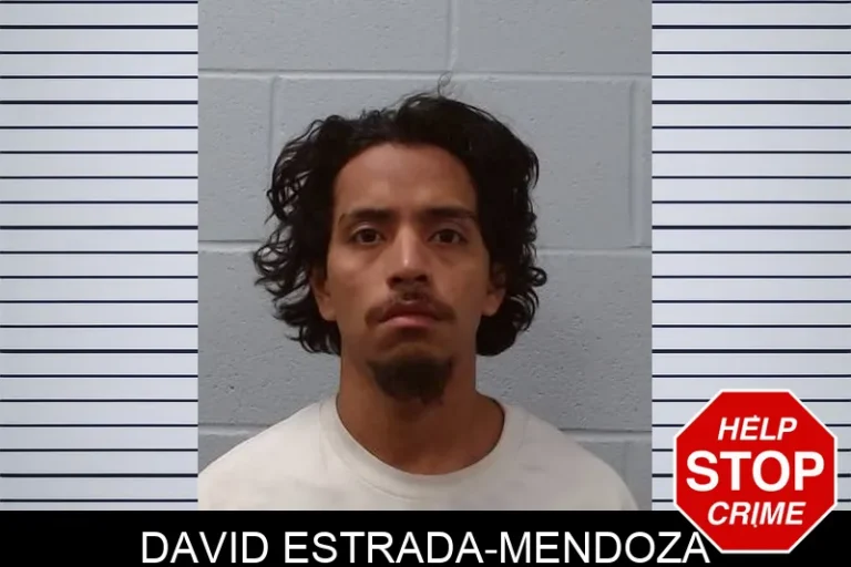 David Estrada-Mendoza