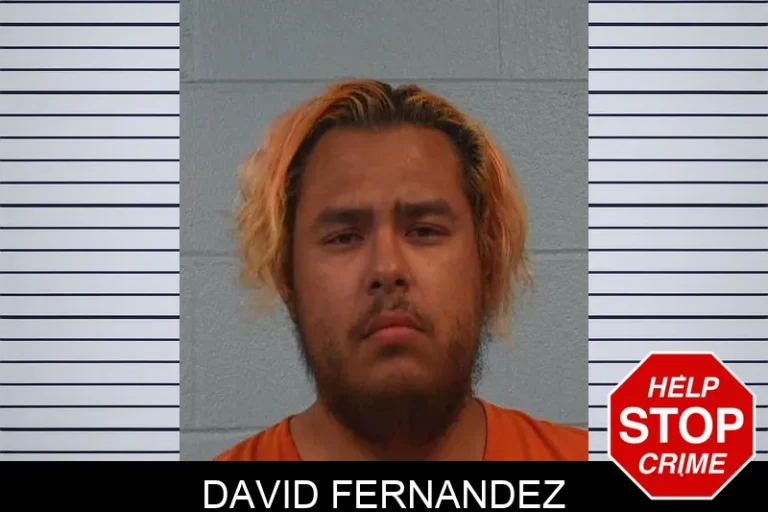 David Fernandez