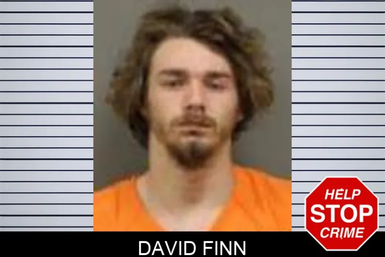 David Finn